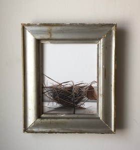 Bird’s Nest 12.5” x 14.5” with frame $395